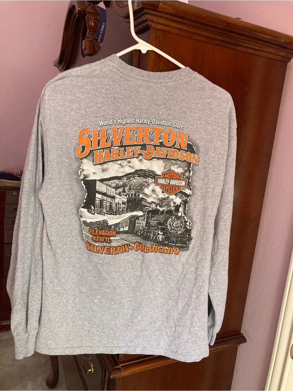 Harley-Davidson Gray Long Sleeve Skull Logo Tee